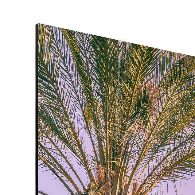 Tableau deco nature Palmiers au coucher du soleil