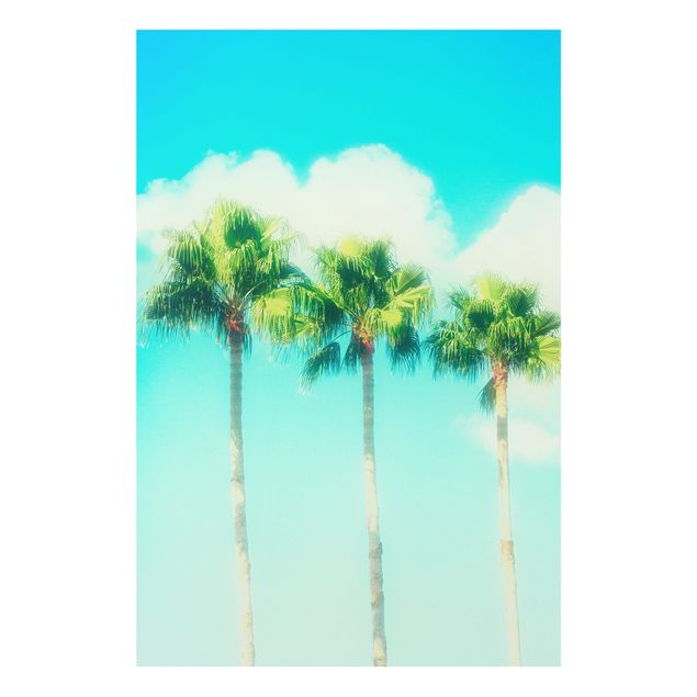 Tableaux paysage Palmiers Contre Ciel Bleu