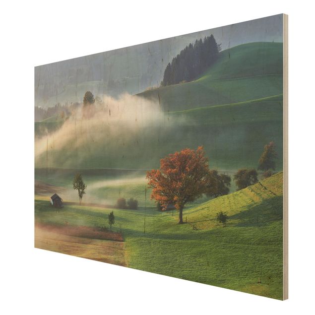 Tableaux muraux Journée brumeuse d'automne en Suisse
