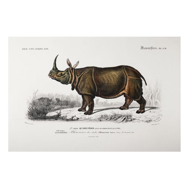 Tableau paysages Tableau Botanique Rhino
