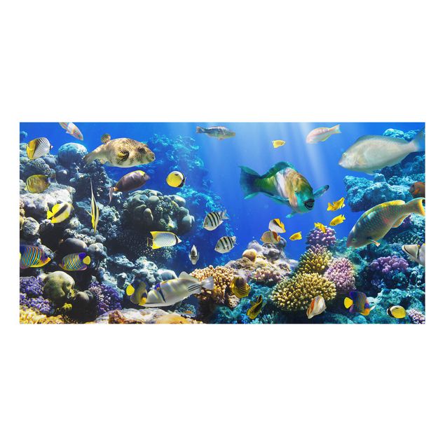 Fond de hotte - Underwater Reef