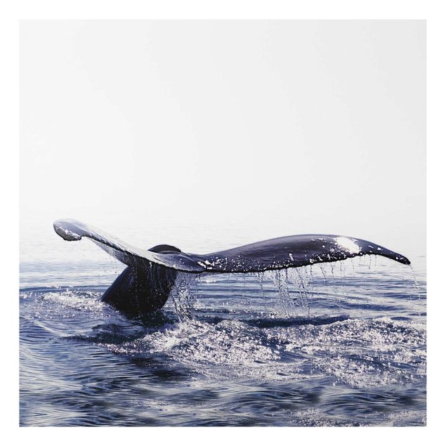 Tableaux modernes Chant de baleine en Islande