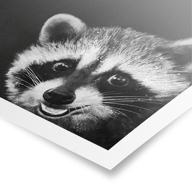 Tableau animaux Illustration raton laveur peinture noir et blanc