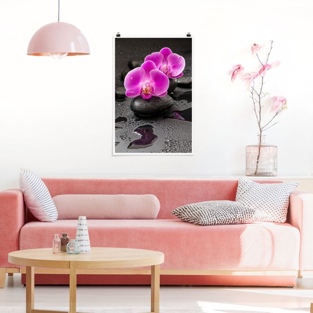 Tableau orchidée Fleur Orchidée Rose sur Pierres avec Gouttes