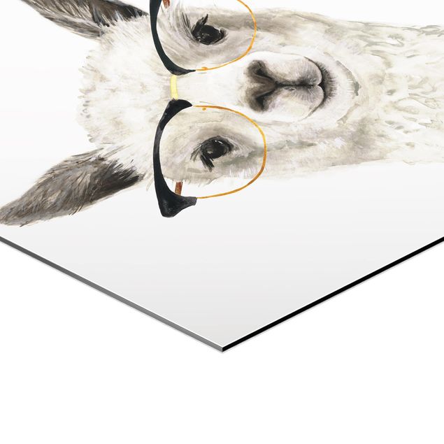 Hexagone en alu Dibond - Hip Lama With Glasses I