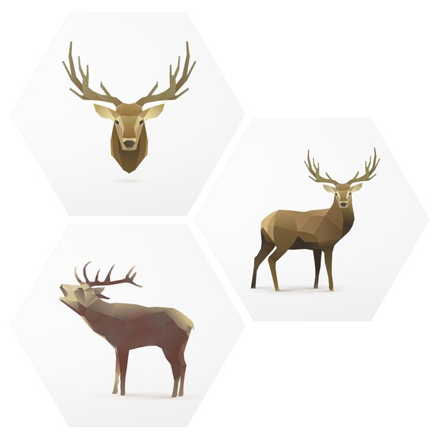 Tableaux animaux Poligon Deer Collection