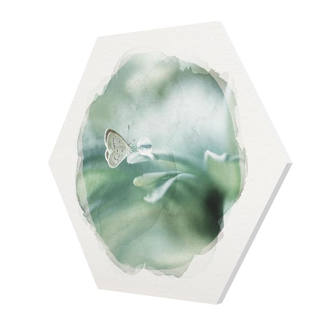 Forex tableau Aquarelles - Papillon et gouttes de rosée en vert pastel