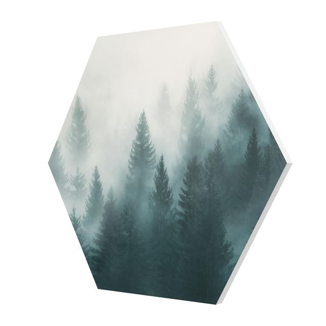 Tableaux forex Forêt de conifères dans le brouillard