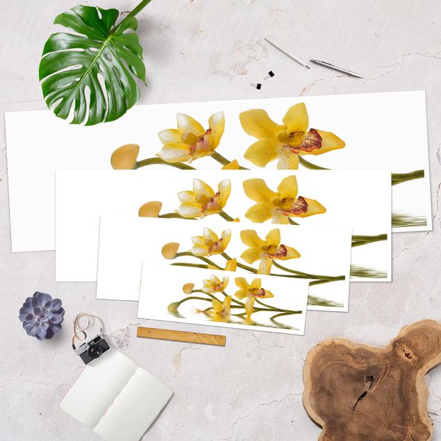 Poster fleurs - Saffron Orchid Waters