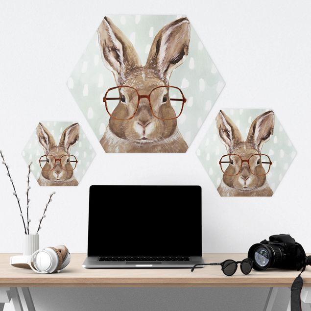 Hexagone en forex - Animals With Glasses - Rabbit