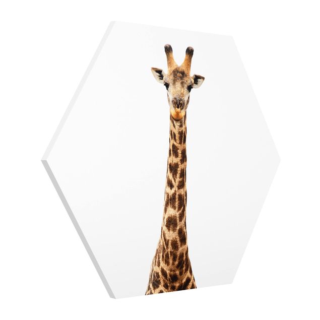 Tableaux animaux Tête de girafe