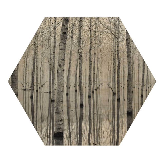 Hexagone en bois - Birches In November