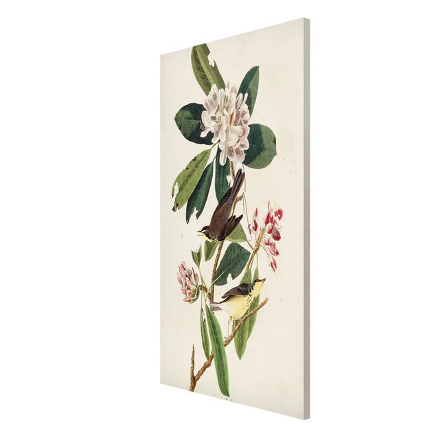 Tableau fleurs Tableau Botanique Warbler