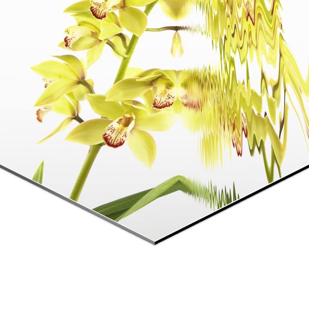 Tableau hexagonal Eaux élégantes d'orchidées