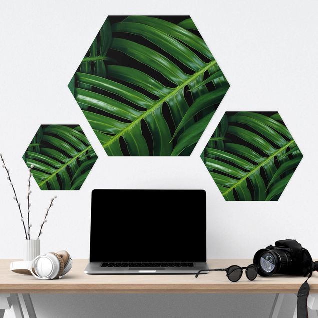 Hexagone en forex - Palm Leaves