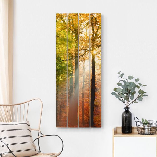 Tableaux en bois avec paysage Lumière du matin