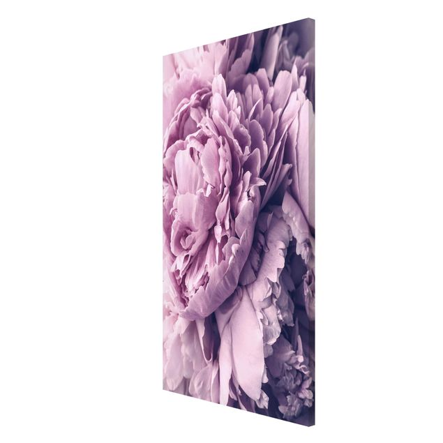 Tableaux moderne Fleurs de pivoines violettes