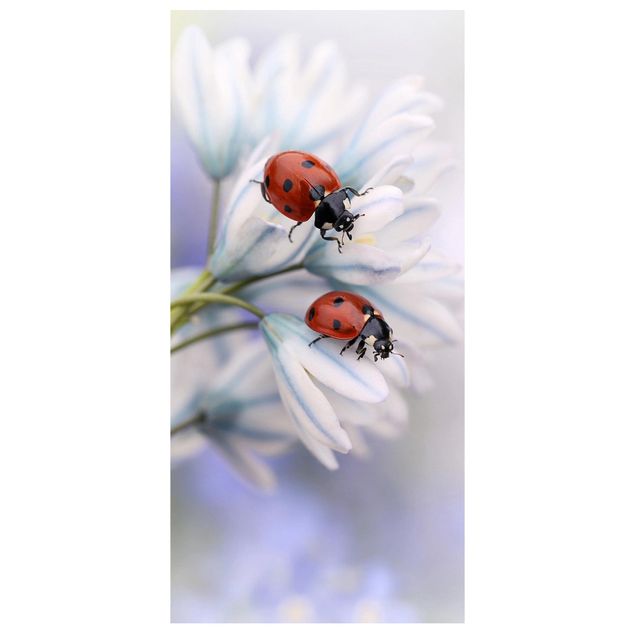 Panneau de séparation - Ladybird Couple