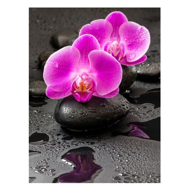 Tableaux orchidées Fleur Orchidée Rose sur Pierres avec Gouttes