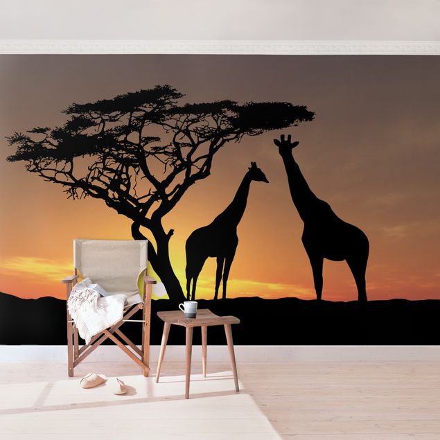 Papier peint panoramique coucher de soleil Coucher de soleil africain