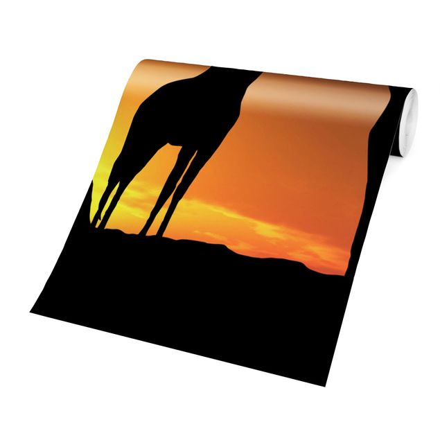 Papiers peints modernes Coucher de soleil africain