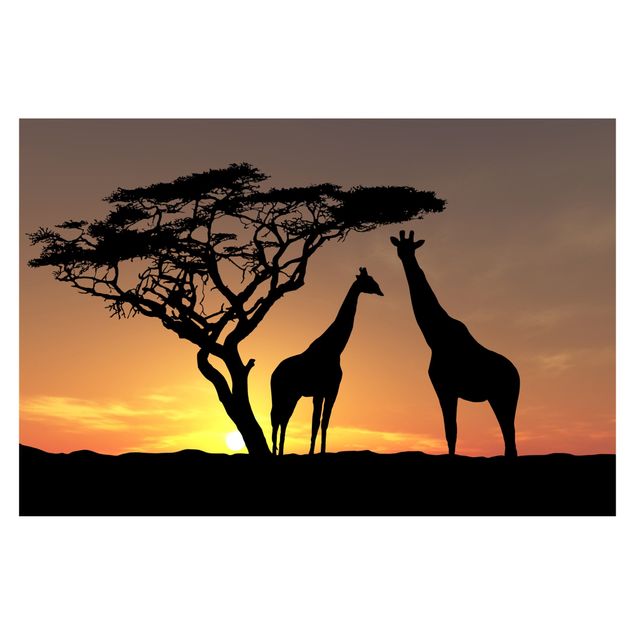 Papier peint animaux forêt Coucher de soleil africain