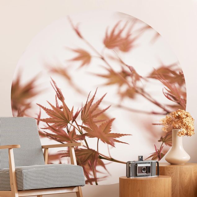 Papiers peints modernes Maple Leaf In Autumn Sun