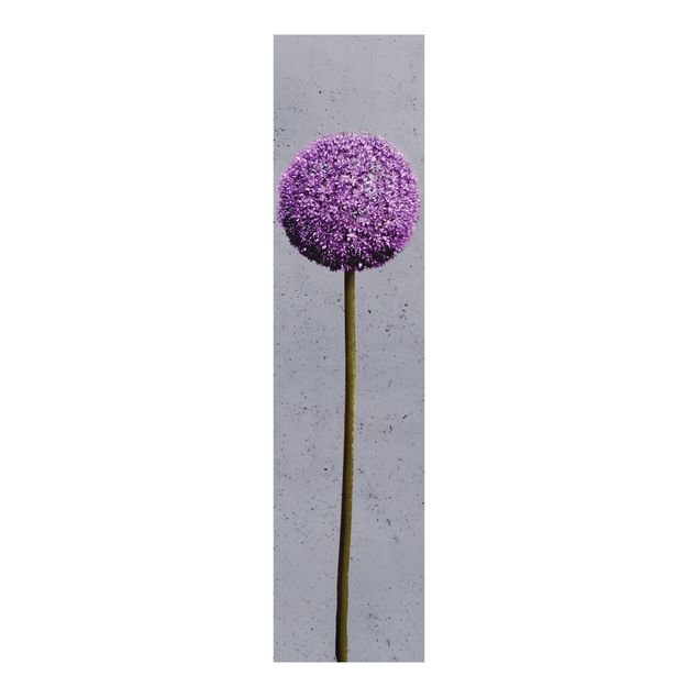 Panneaux coulissants avec fleurs Allium Round-Headed Flower
