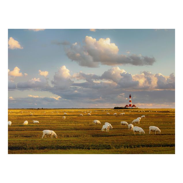 Tableaux paysage Phare de la mer du Nord avec un troupeau de moutons