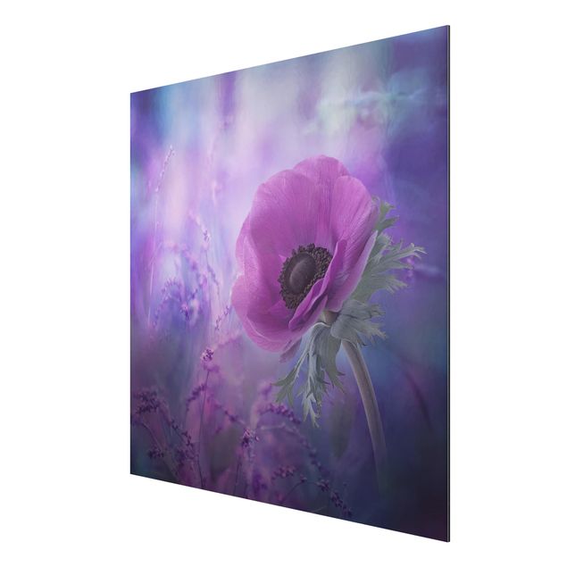 Tableaux fleurs Anémone en violet