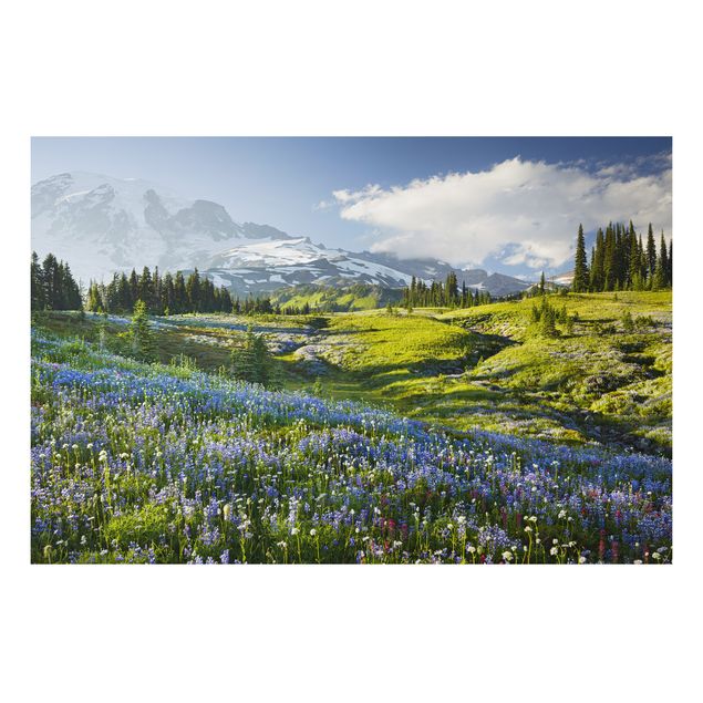 Tableau paysages Mountain Meadow With Blue Flowers in Front of Mt. Rainier
