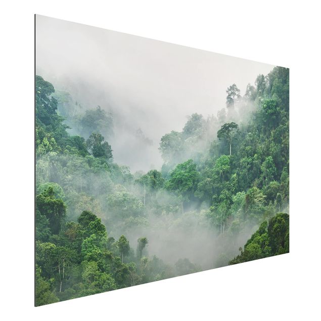 Déco mur cuisine Jungle dans le brouillard