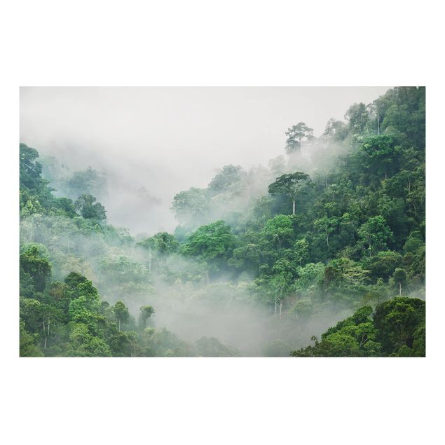Tableau paysages Jungle dans le brouillard