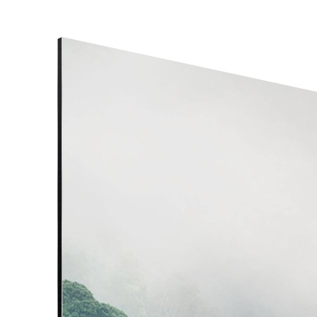 Tableaux moderne Jungle dans le brouillard