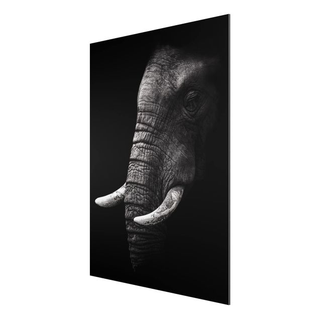 Tableau éléphants Portrait d'éléphant sombre