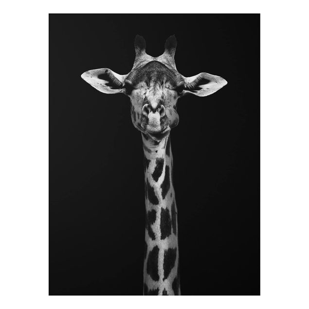 Déco mur cuisine Portrait de girafe sombre
