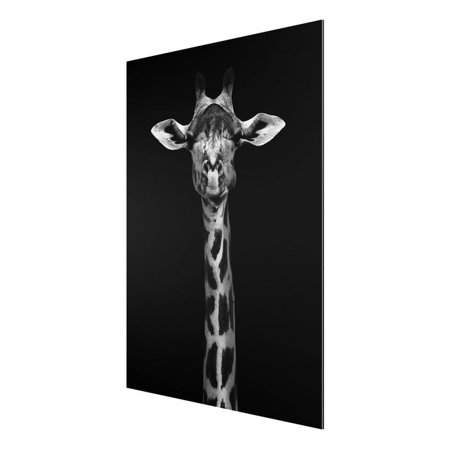 Tableaux moderne Portrait de girafe sombre