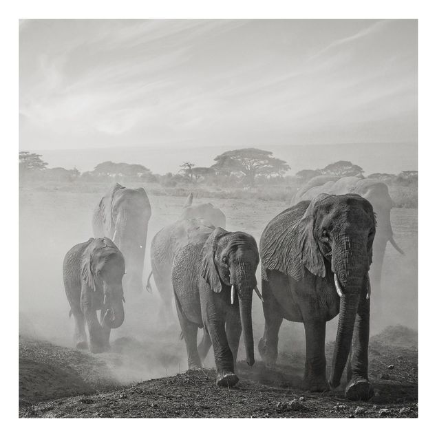 Tableaux paysage Troupeau d'éléphants