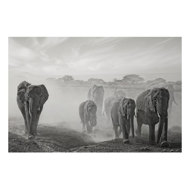 Tableaux paysage Troupeau d'éléphants