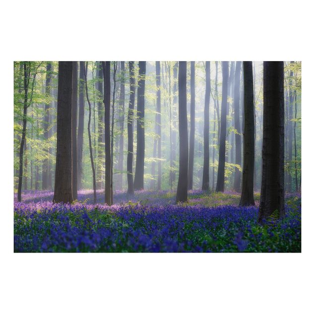 Tableau paysage Journée de printemps dans la forêt