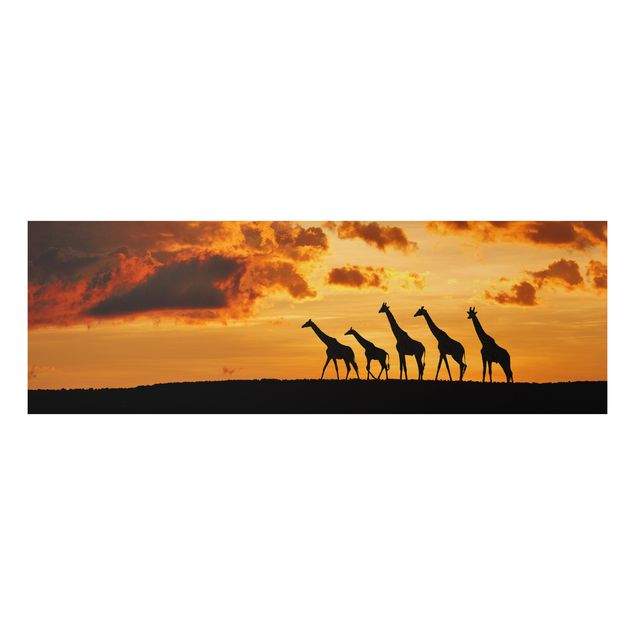 Tableaux paysage Cinq Girafes