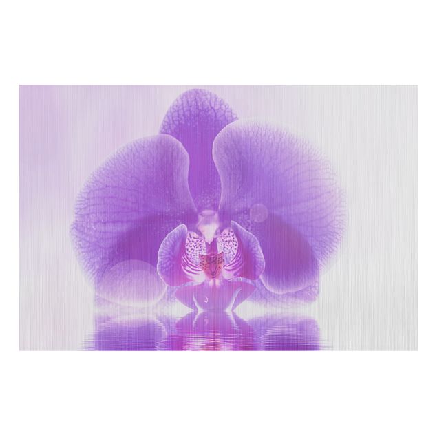 Tableaux orchidées Orchidée violette sur l'eau