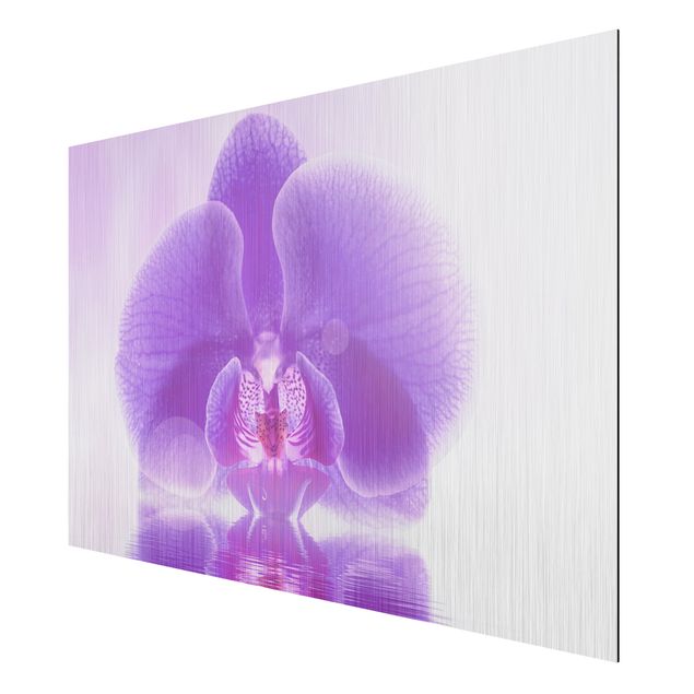 Tableaux modernes Orchidée violette sur l'eau