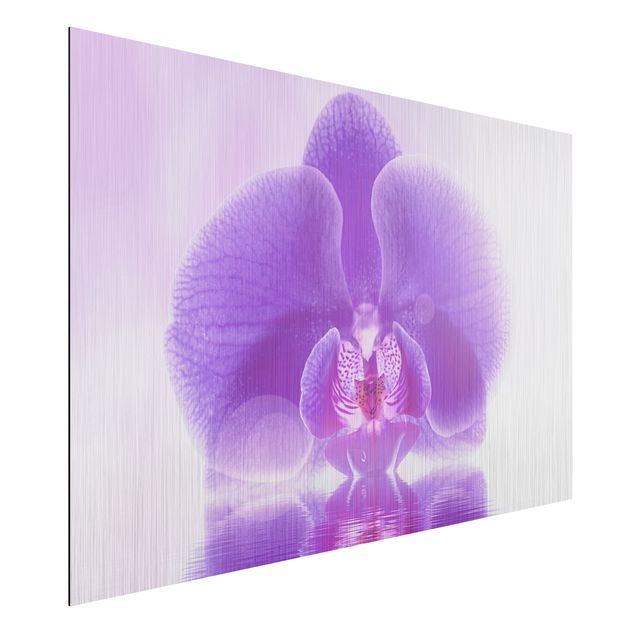 Décorations cuisine Orchidée violette sur l'eau