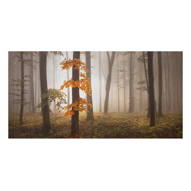 Tableau paysage Forêt de novembre