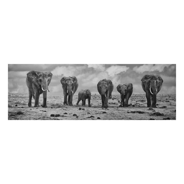 Tableaux éléphants Famille nombreuse