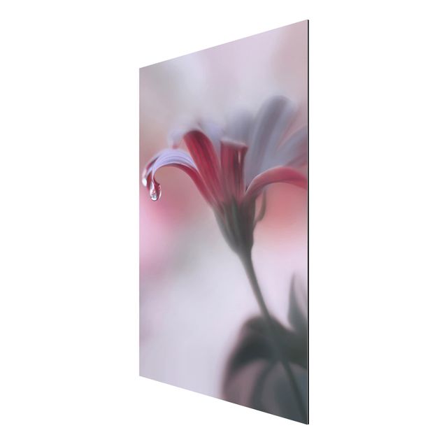 tableaux floraux Invisible Touch