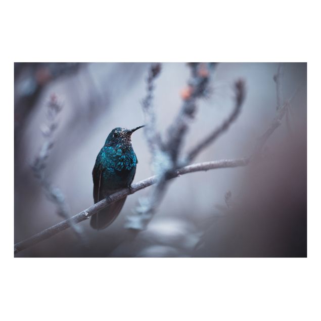 Tableaux moderne Colibri en hiver