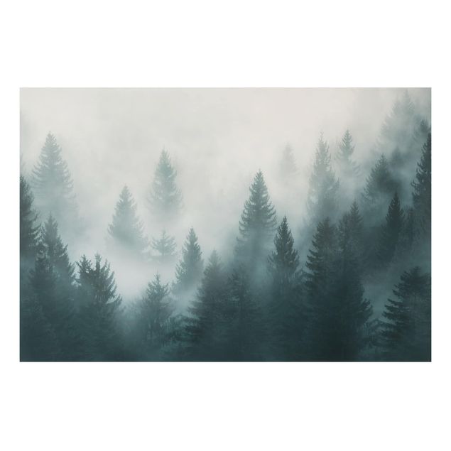 Tableau paysages Forêt de conifères dans le brouillard