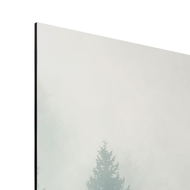 Tableau deco nature Forêt de conifères dans le brouillard
